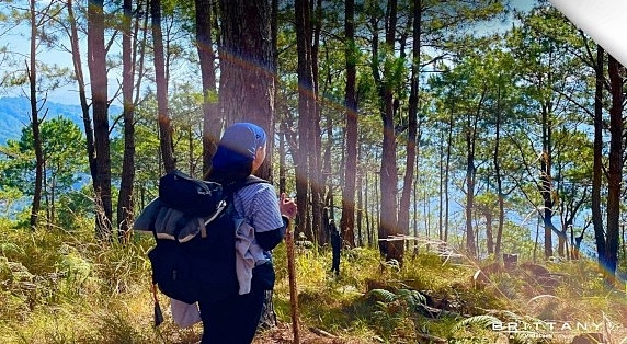 Bern Baguio Bern Baguio